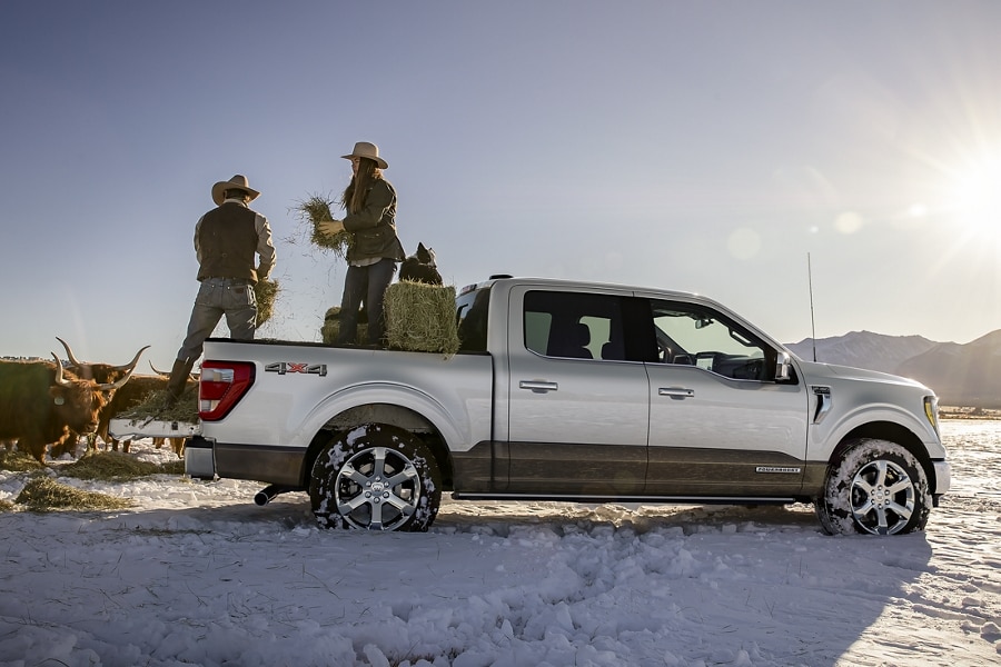 Two people standing in the bed of a 2023 Ford F-150® Powerboost™ hybrid parked on a snowy plain