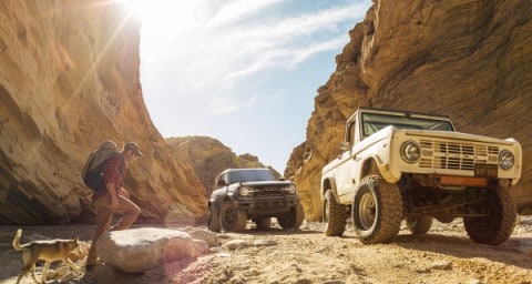 Man and dog approaching 2021 Ford Bronco models parked in large canyon filled with sunlight